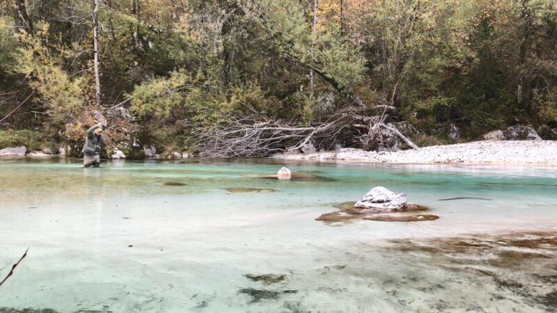 Marble Trout Slovenia Idrijca Fly Fishing Soca Soča