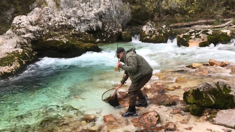 Marble Trout Slovenia Idrijca Fly Fishing Soca Soča