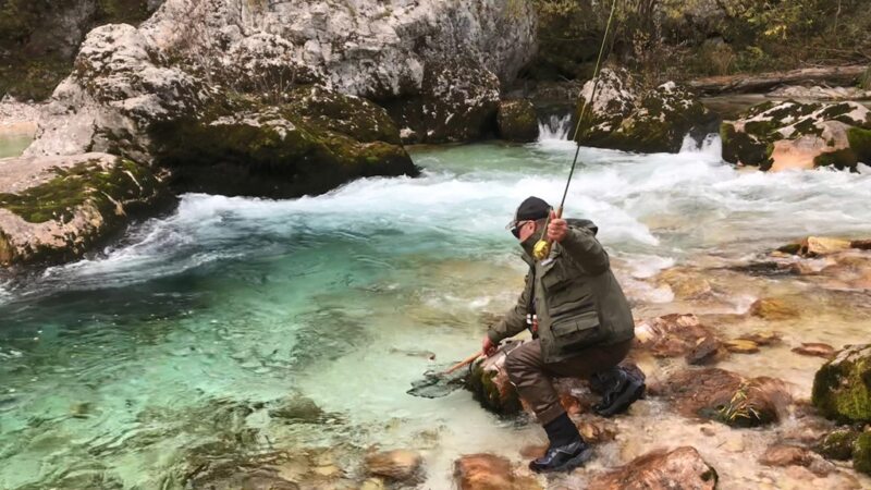 Marble Trout Slovenia Idrijca Fly Fishing Soca Soča Brown Trout