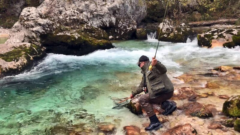 Marble Trout Slovenia Idrijca Fly Fishing Soca Soča Hybrid