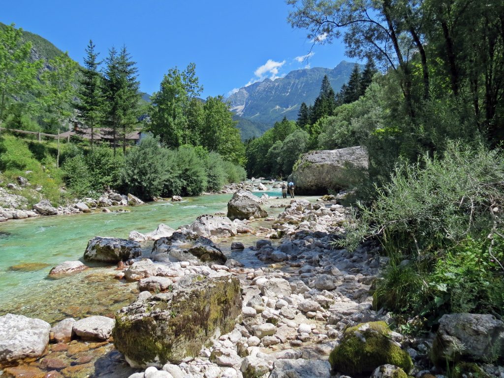 Slovenia Fly Fishing River Soca fly fishing forest