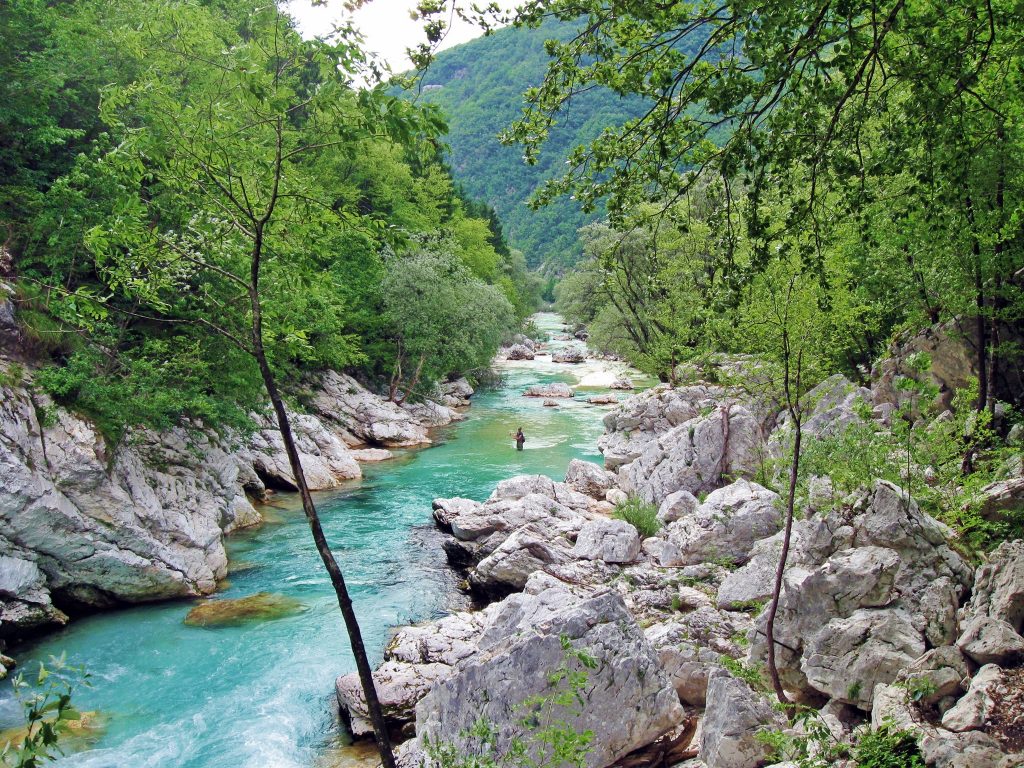 River Soca fly fishing forest